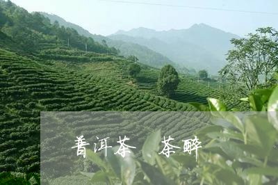 普洱茶 茶醉/2023042893450